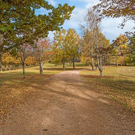 Blackwood Park Cottages Mole Creek Luaran gambar