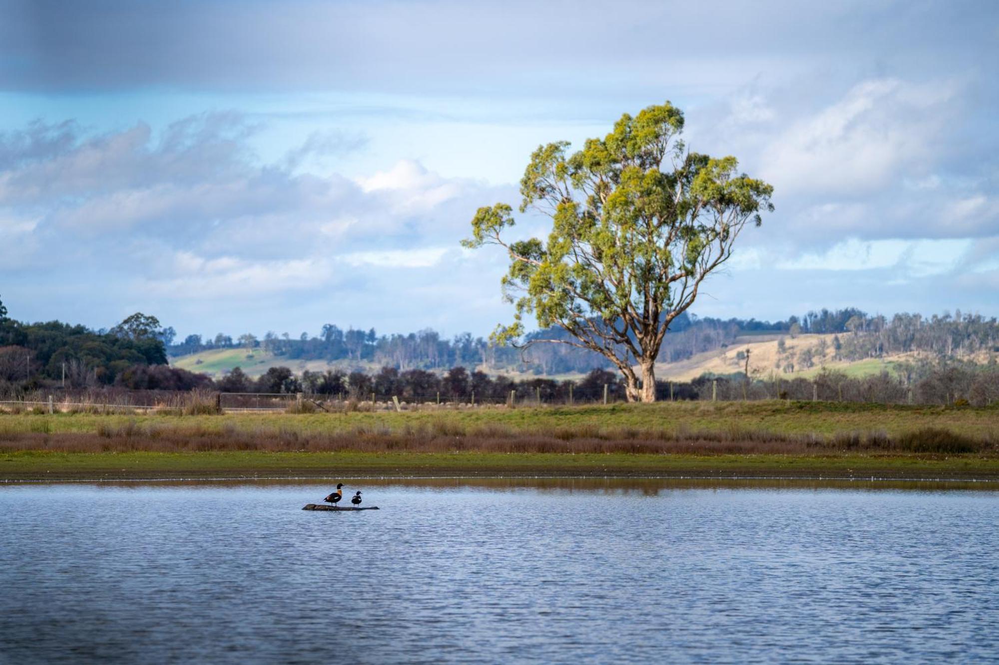 Blackwood Park Cottages Mole Creek Luaran gambar