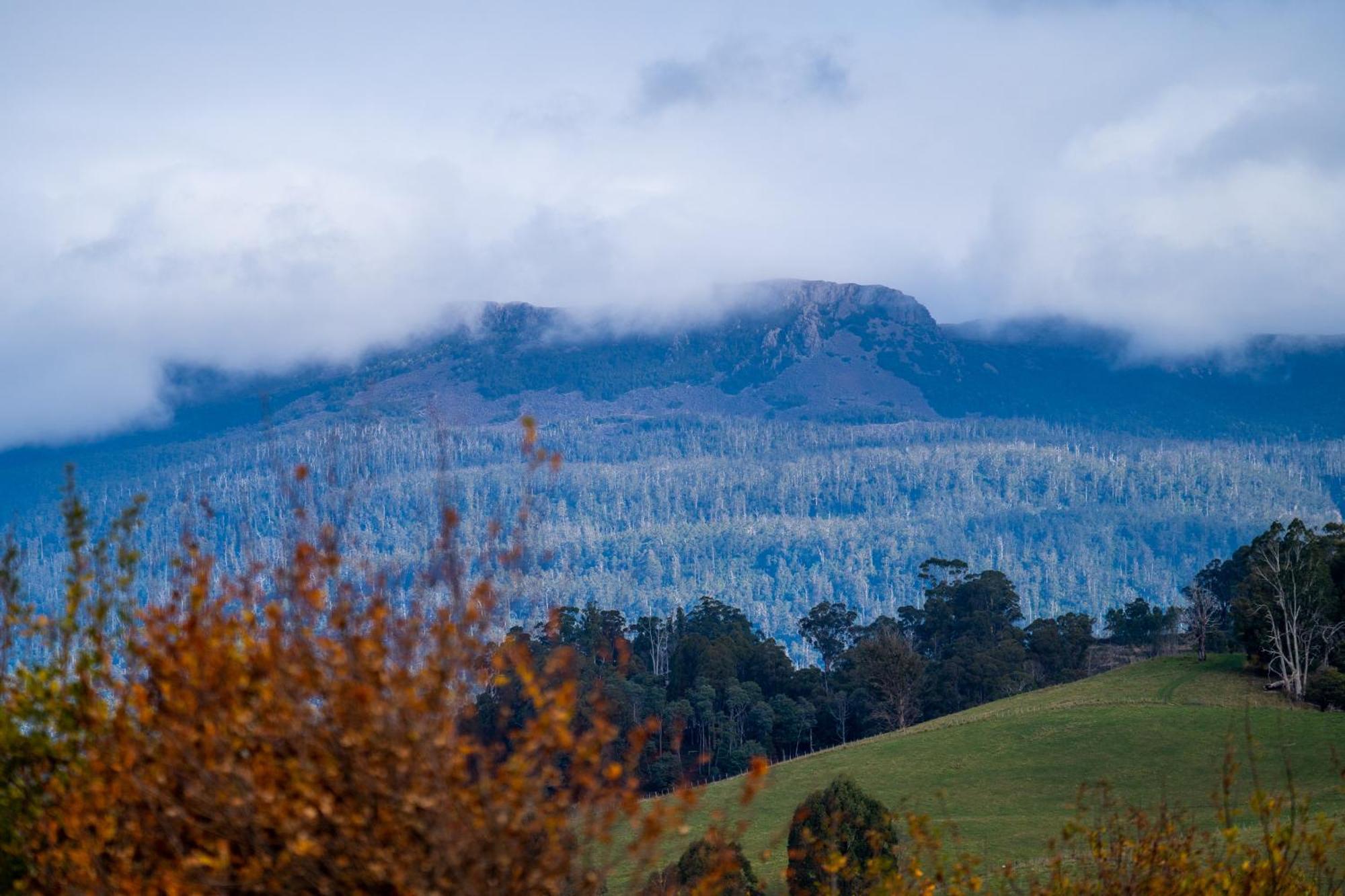 Blackwood Park Cottages Mole Creek Luaran gambar
