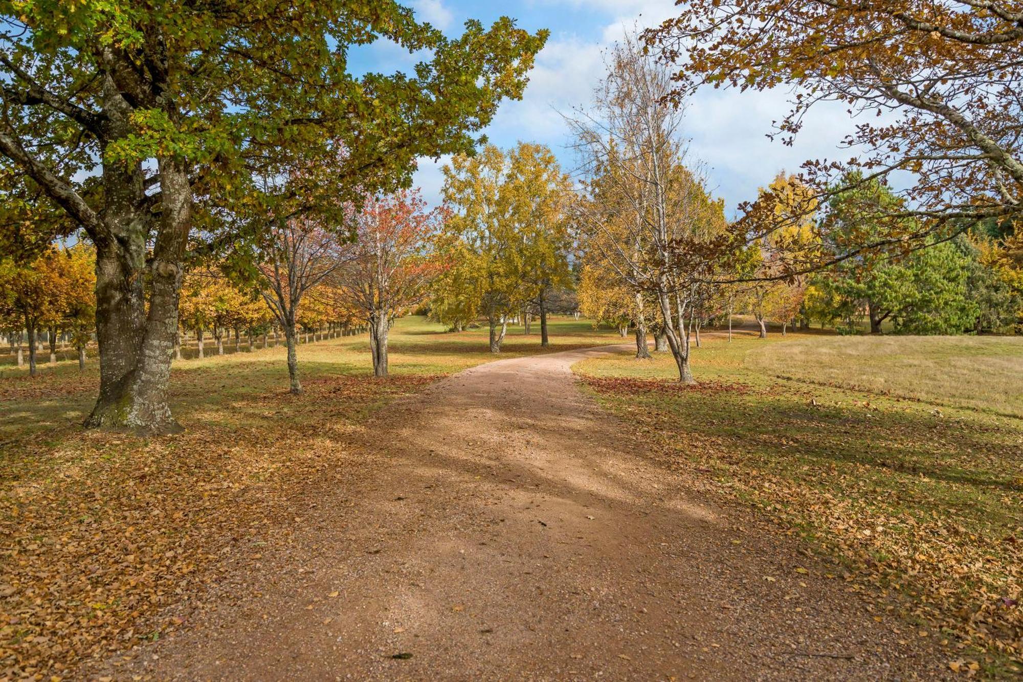 Blackwood Park Cottages Mole Creek Luaran gambar
